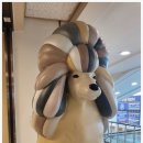 몰리스 죽전점 이미지