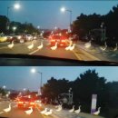 대전 아이랑 갈만한 곳 추천! 카이스트 벚꽃부터 성심당, 한밭수목원 태평소국밥까지 알차게 즐기기