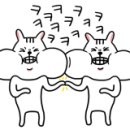 티에스더블유 이미지