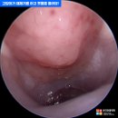 용강동물병원 이미지