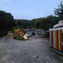 팜스퀘어 하늘타리 이미지