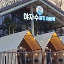 야자수당구장 이미지