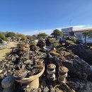 운림농원 이미지