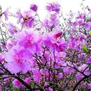 더좋아짐 이미지