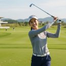 양지-3120 이미지