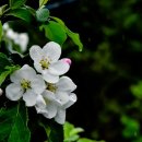 전원농장 이미지