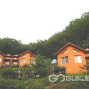 민주지산자연휴양림 이미지