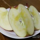 참이슬 농원 이미지