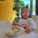 인더쉐이드 이미지