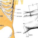 無極保養 뜸 : 중완 혈자리 이미지