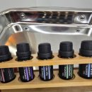 시프헤어 이미지