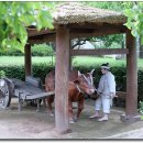 영양산촌생활박물관 이미지