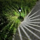 태광태양광 이미지