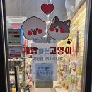 개밥파는 고양이 야당점 네이버블로그