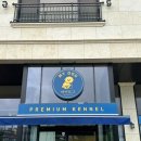 마이도그샵 이미지