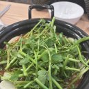 등촌샤브칼국수 옥수점