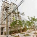 신월로20길 이미지