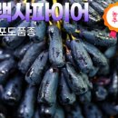 광일농원 이미지