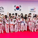 참태권도 이미지