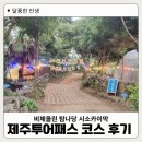 비체올린 | 제주도 여행 제주투어패스 코스 후기 비체올린 탐나당 시소카이막