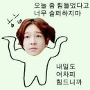 잊을라하면 나타나는 병맛짤 이미지