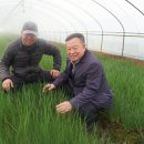 예산중앙농업협동조합 이미지