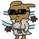 스테이나라 이미지