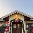 카페이노스 세종본점 | 세종카페 세종애견동반카페 분위기 좋은 디저트 맛집 카페용담세종본점 후기