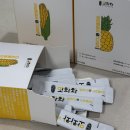 지만약국 | 겨울철 다이어트의 필수템, 앗차차 내돈내산 찐 후기🌽🍍💛