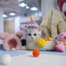 캣프렌즈 이미지