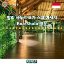 요가시와 | 발리 사누르 요가 마사지 즐길수 있는 Koa shala 예약방법 방문후기