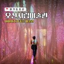 정영모 | 동탄 근처 오산 실내 가볼만한곳 아이와 시립미술관 전시