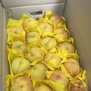 선산분홍복숭아 이미지