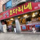 거진항코다리 | 거진항맛집코다리네 모란점 완전 비추 솔직후기