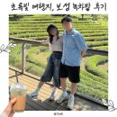 제1주차장 | 보성 녹차밭 여행 후기 주차장 입장료 여름 가볼만한곳