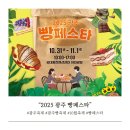 세븐스타즈광주본점 | &#34;2025 광주 빵페스타, 1일차&#34; 후기 빵축제 총정리