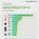 ㈜메트로코리아 이미지