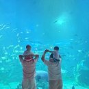 금능리장 이미지