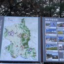 부곡지석묘 이미지