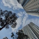 부엔 행정사 사무소 이미지