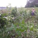 일오농장 이미지