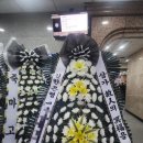 플렌케 이미지