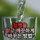 탁한 혈액 맑고 깨끗하게 청소하는 방법 이미지