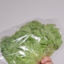 광채농장 이미지