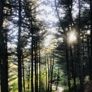 춘천교육대학교 이미지