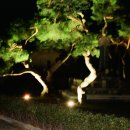 대율초등학교 이미지