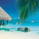 임자태권도장 | tahiti 기행문
