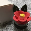 센트레스트 이미지