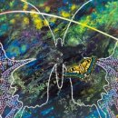 반포대로24길 41-3 이미지