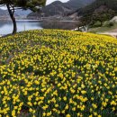 춘향목장 이미지